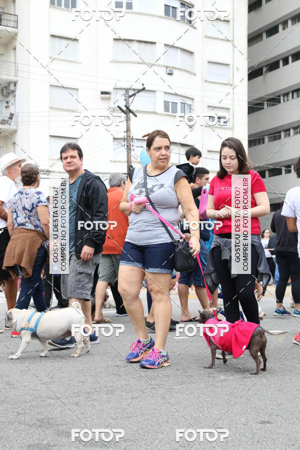 Buy your photos of the event13� C�ominhada - Santos on Fotop