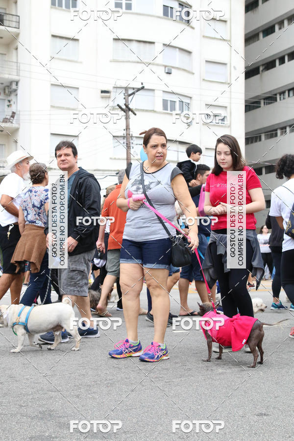 Buy your photos of the event13� C�ominhada - Santos on Fotop