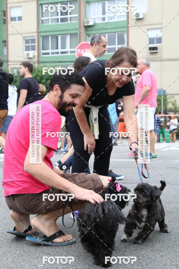 Buy your photos of the event13� C�ominhada - Santos on Fotop