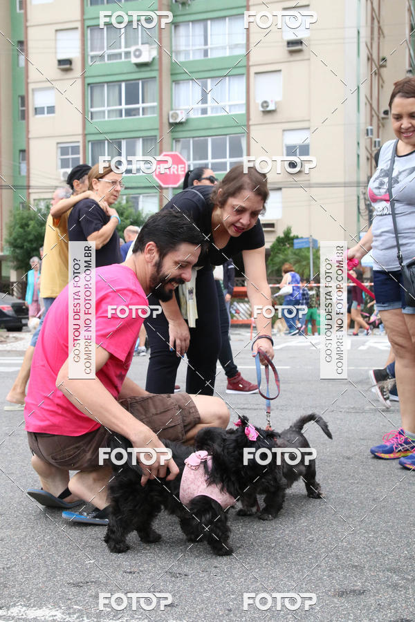 Buy your photos of the event13� C�ominhada - Santos on Fotop