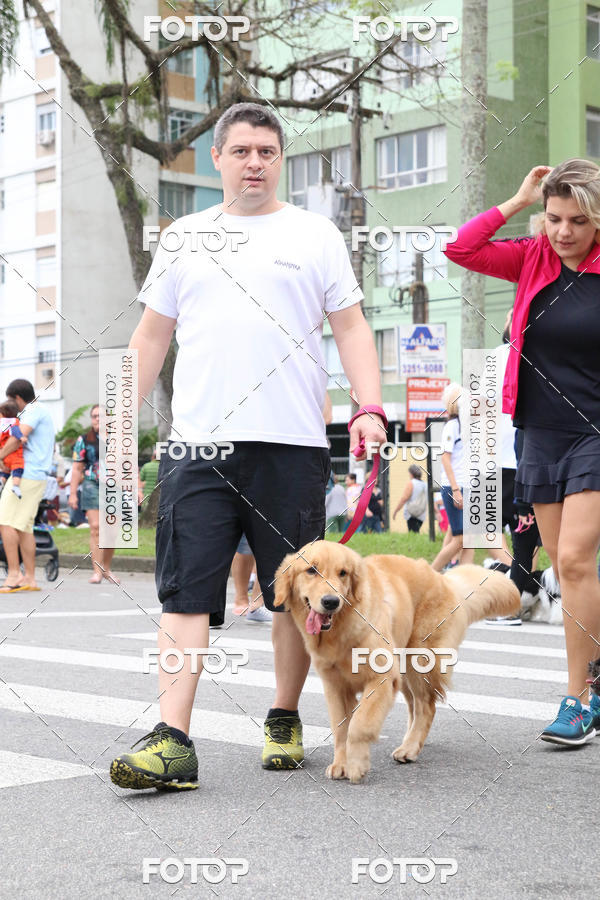 Buy your photos of the event13� C�ominhada - Santos on Fotop