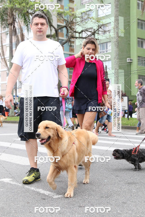 Buy your photos of the event13� C�ominhada - Santos on Fotop