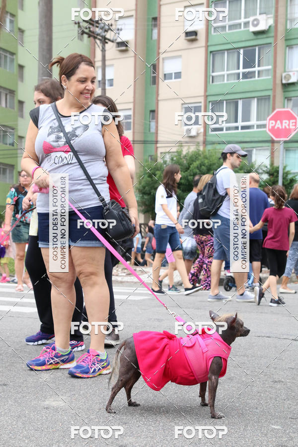 Buy your photos of the event13� C�ominhada - Santos on Fotop