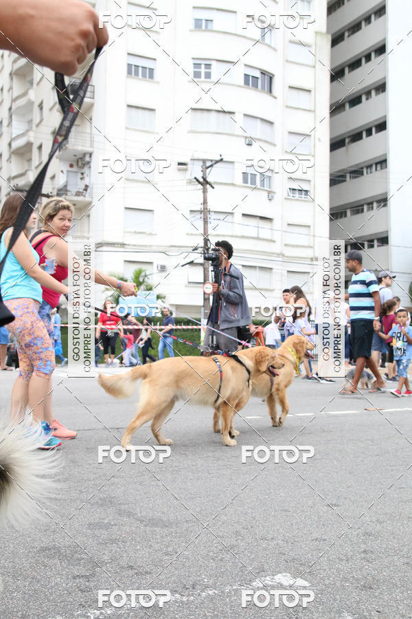 Buy your photos of the event13� C�ominhada - Santos on Fotop