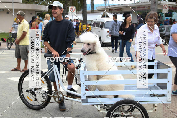 Buy your photos of the event13� C�ominhada - Santos on Fotop