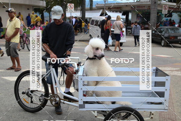 Buy your photos of the event13� C�ominhada - Santos on Fotop