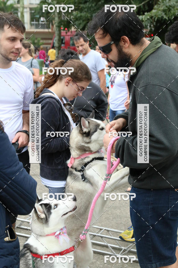 Buy your photos of the event13� C�ominhada - Santos on Fotop