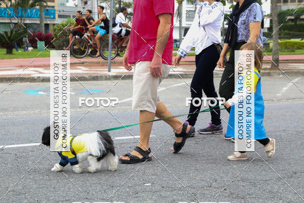 Buy your photos of the event13� C�ominhada - Santos on Fotop