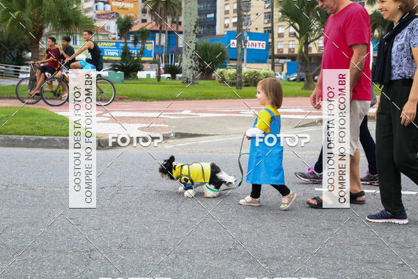 Buy your photos of the event13� C�ominhada - Santos on Fotop