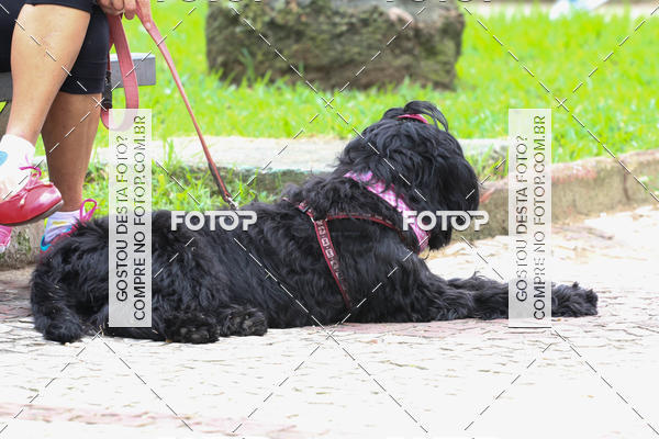 Buy your photos of the event13� C�ominhada - Santos on Fotop