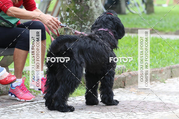 Buy your photos of the event13� C�ominhada - Santos on Fotop