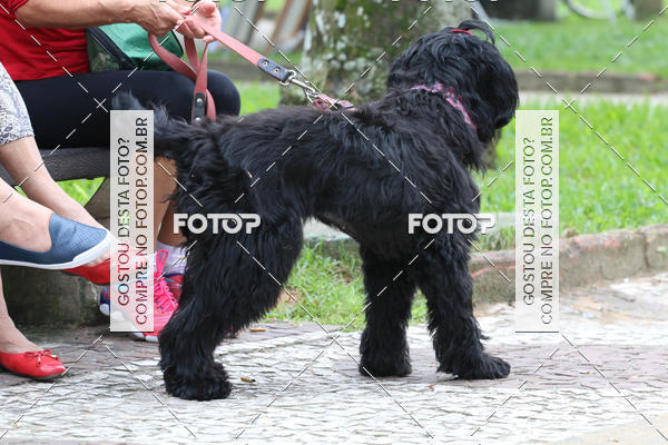 Buy your photos of the event13� C�ominhada - Santos on Fotop