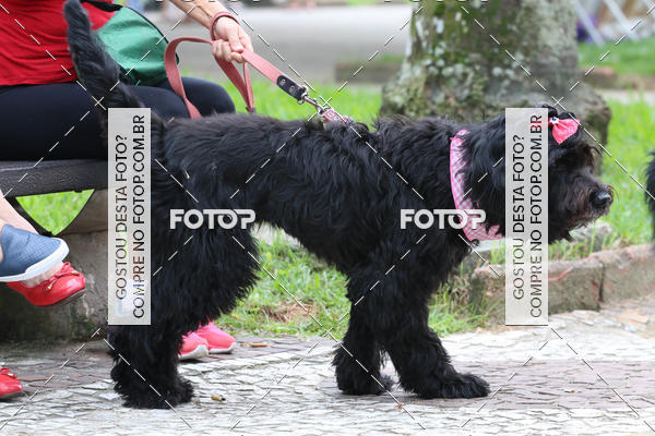 Buy your photos of the event13� C�ominhada - Santos on Fotop