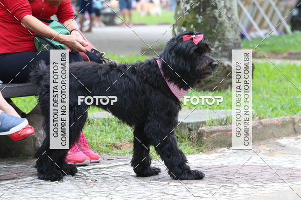 Buy your photos of the event13� C�ominhada - Santos on Fotop