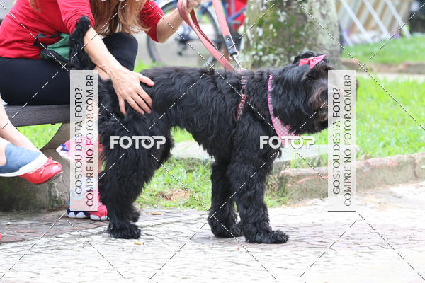 Buy your photos of the event13� C�ominhada - Santos on Fotop