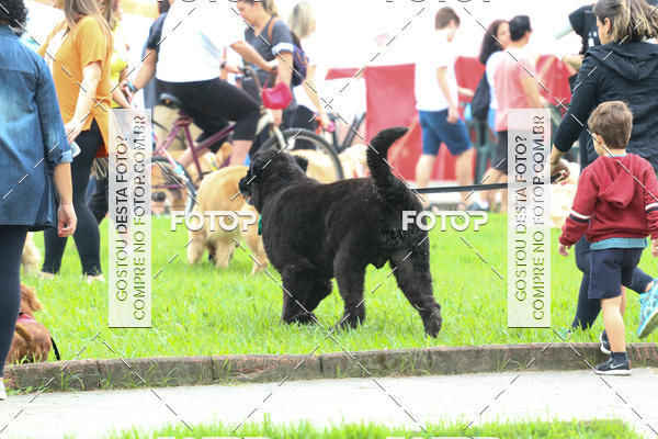 Buy your photos of the event13� C�ominhada - Santos on Fotop