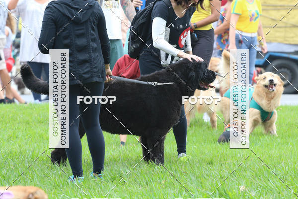 Buy your photos of the event13� C�ominhada - Santos on Fotop