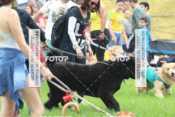 Buy your photos of the event13� C�ominhada - Santos on Fotop