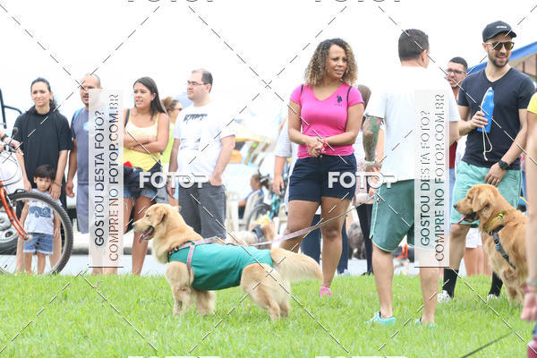 Buy your photos of the event13� C�ominhada - Santos on Fotop