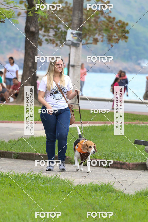 Buy your photos of the event13� C�ominhada - Santos on Fotop