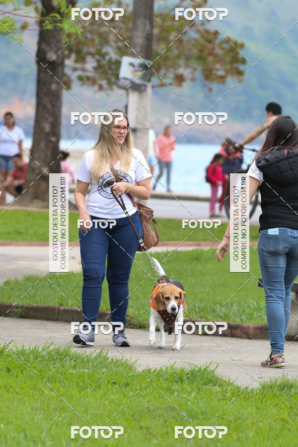 Buy your photos of the event13� C�ominhada - Santos on Fotop