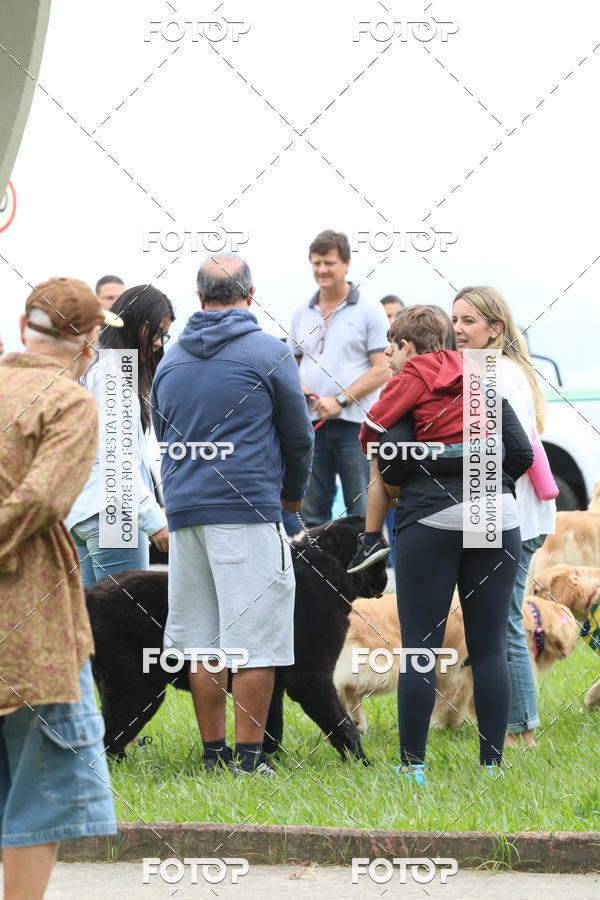 Buy your photos of the event13� C�ominhada - Santos on Fotop