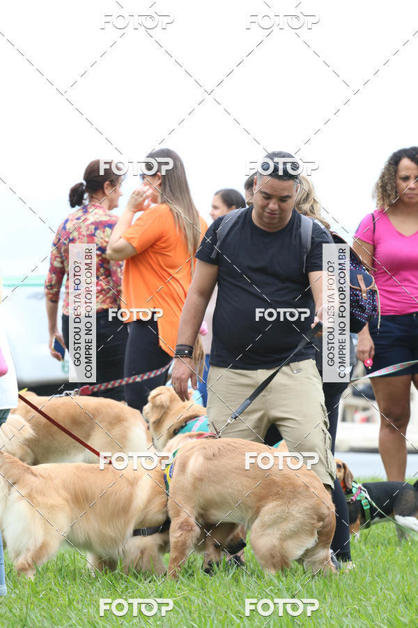 Buy your photos of the event13� C�ominhada - Santos on Fotop