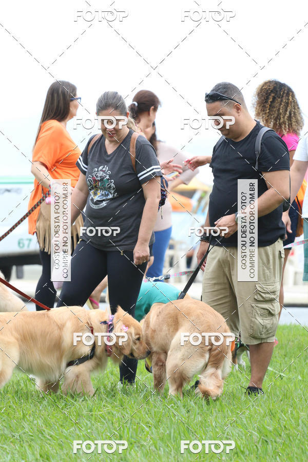 Buy your photos of the event13� C�ominhada - Santos on Fotop