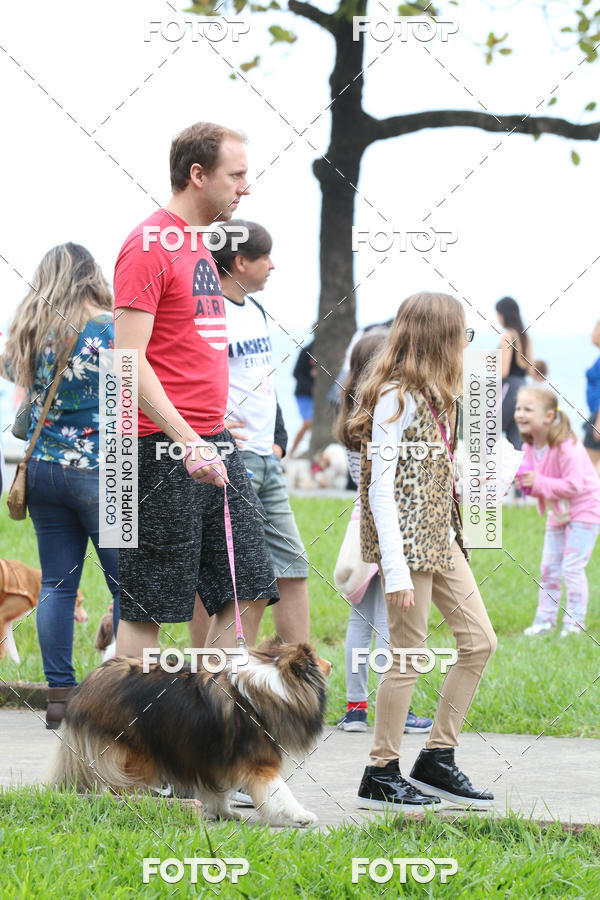 Buy your photos of the event13� C�ominhada - Santos on Fotop