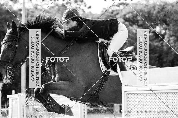 Buy your photos of the eventHipismo / Paulist�o 2018 - Pista de Grama on Fotop