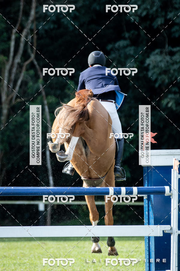 Buy your photos of the eventHipismo / Paulist�o 2018 - Pista de Grama on Fotop