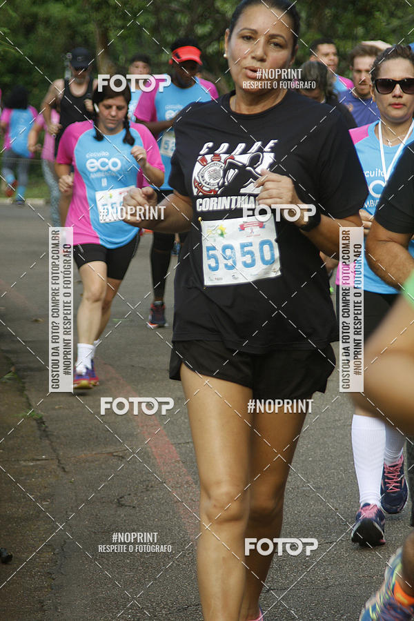 Acquista le foto dell'eventoCircuito Eco Ambiental II 2018 - Ceret in Fotop