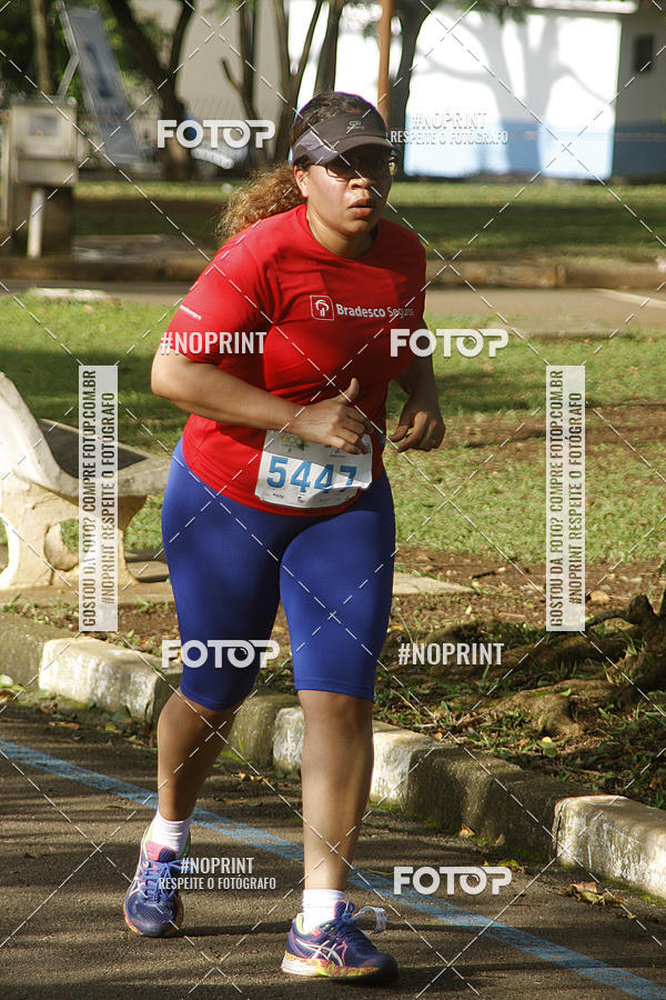Acquista le foto dell'eventoCircuito Eco Ambiental II 2018 - Ceret in Fotop