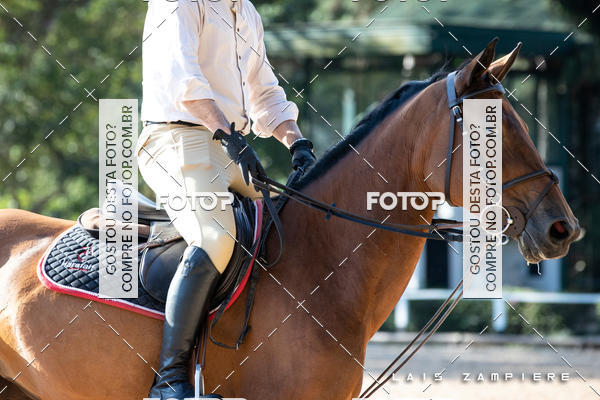 Buy your photos of the eventHipismo / Hpica Santo Amaro on Fotop