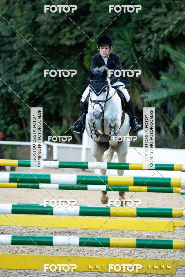 Buy your photos of the eventHipismo / Paulist�o 2018 - AMADOR A 1,10 m on Fotop