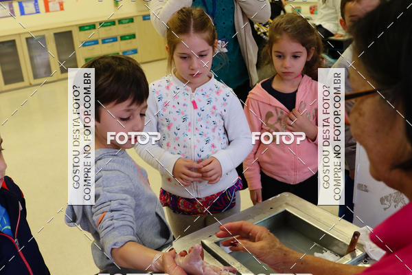 Buy your photos of the eventBeit Camp 2018 - 2 a 6 de julho - K3 a G5 on Fotop