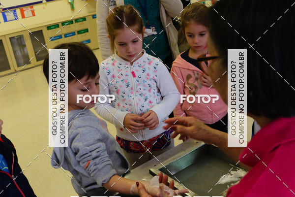 Buy your photos of the eventBeit Camp 2018 - 2 a 6 de julho - K3 a G5 on Fotop