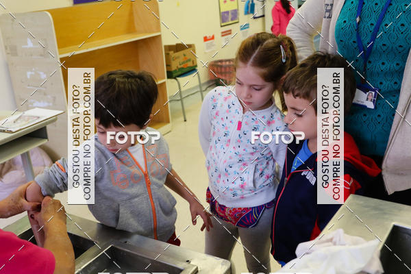 Buy your photos of the eventBeit Camp 2018 - 2 a 6 de julho - K3 a G5 on Fotop