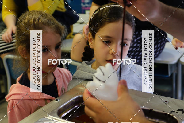 Buy your photos of the eventBeit Camp 2018 - 2 a 6 de julho - K3 a G5 on Fotop