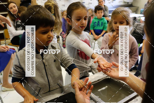 Buy your photos of the eventBeit Camp 2018 - 2 a 6 de julho - K3 a G5 on Fotop