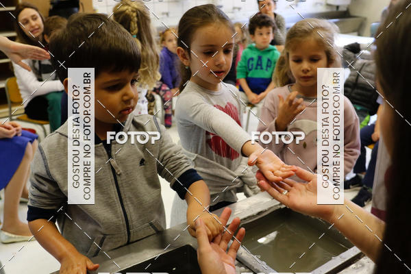 Buy your photos of the eventBeit Camp 2018 - 2 a 6 de julho - K3 a G5 on Fotop