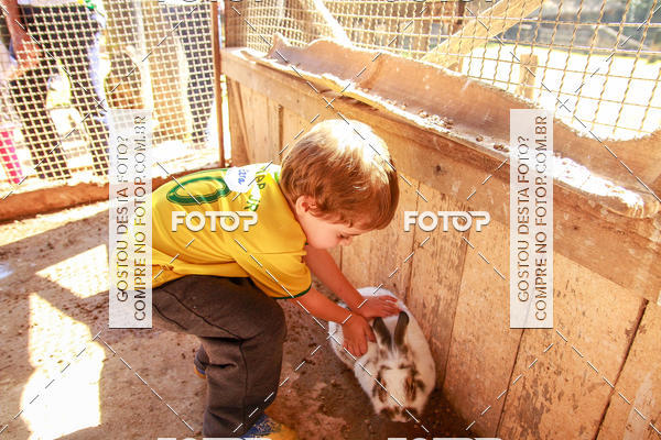 Buy your photos of the eventBeit Camp 2018 - 2 a 6 de julho - K3 a G5 on Fotop