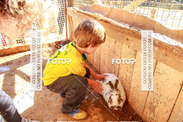 Buy your photos of the eventBeit Camp 2018 - 2 a 6 de julho - K3 a G5 on Fotop