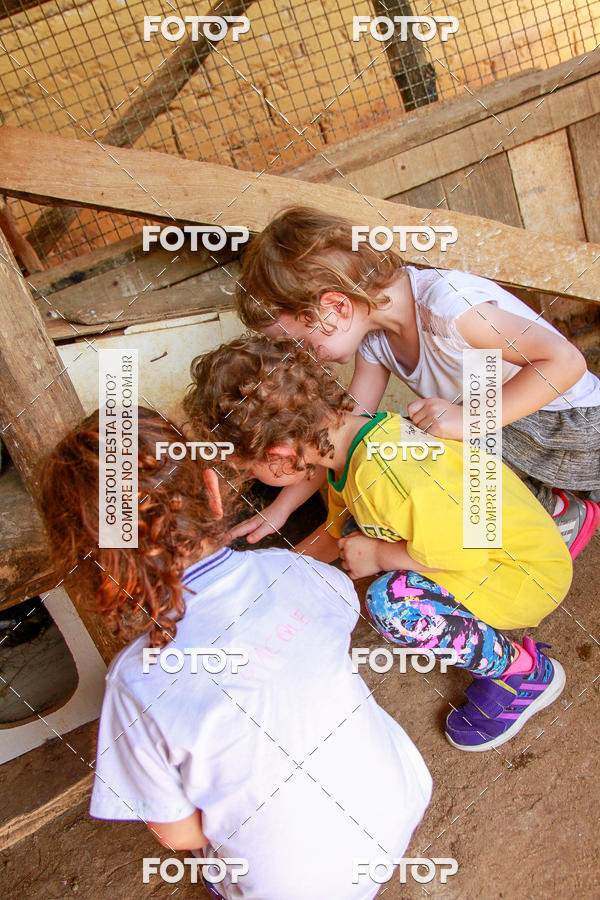 Buy your photos of the eventBeit Camp 2018 - 2 a 6 de julho - K3 a G5 on Fotop