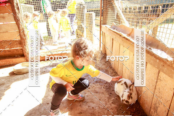 Buy your photos of the eventBeit Camp 2018 - 2 a 6 de julho - K3 a G5 on Fotop