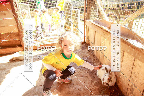 Buy your photos of the eventBeit Camp 2018 - 2 a 6 de julho - K3 a G5 on Fotop