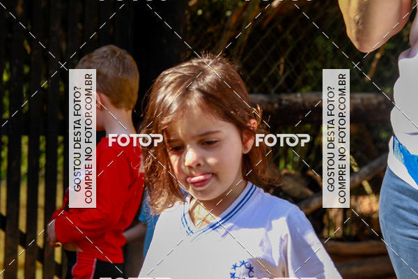 Buy your photos of the eventBeit Camp 2018 - 2 a 6 de julho - K3 a G5 on Fotop