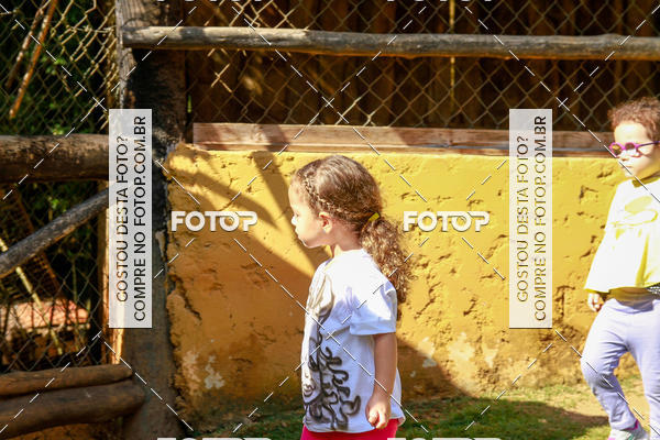 Buy your photos of the eventBeit Camp 2018 - 2 a 6 de julho - K3 a G5 on Fotop