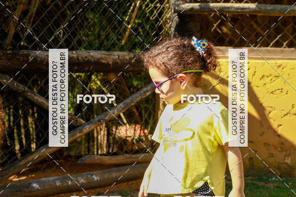 Buy your photos of the eventBeit Camp 2018 - 2 a 6 de julho - K3 a G5 on Fotop