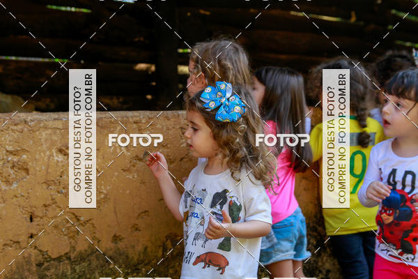 Buy your photos of the eventBeit Camp 2018 - 2 a 6 de julho - K3 a G5 on Fotop